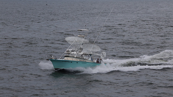 697155.hull's sea lover.ponce inlet fl.9435