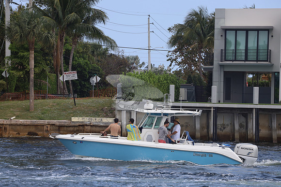 EVERGLADES.BLUE.133