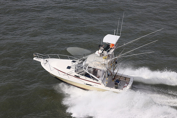 CANEELIN.OCEAN CITY MD.19