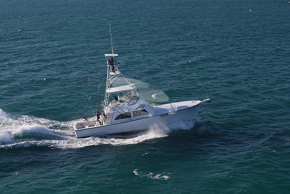 504713.legasea.islamorada fl.5479