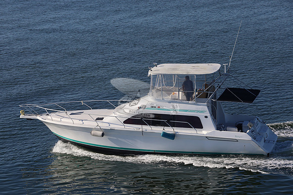 Columbo.port charlotte.1105