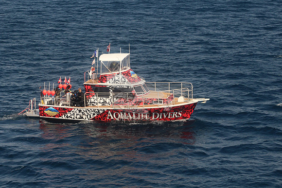 aqualife divers.3151