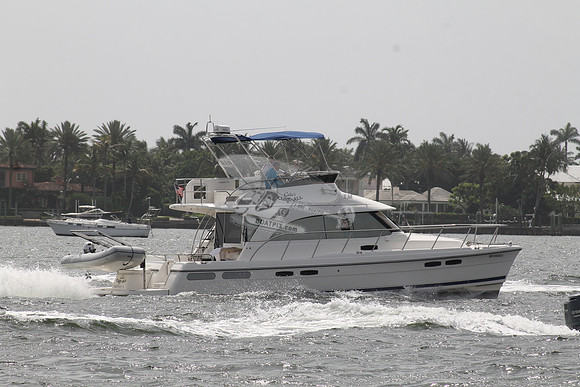 DO1285872.CALEE'S CURE-ALL.FREEPORT FL.1