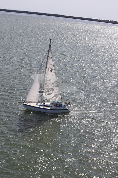 585.MS M..FL9900SM.14