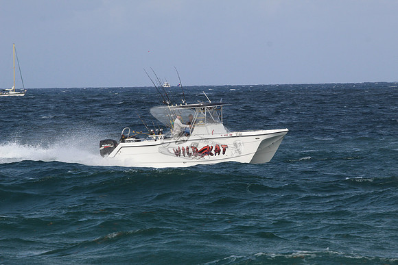 fl5599mu.wild kat.1682