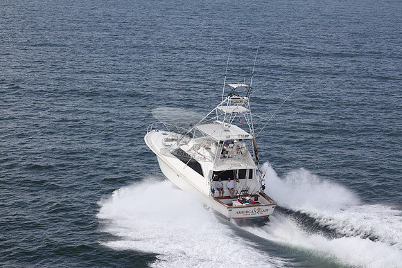 american lady.ocean view de.2191