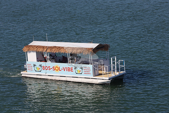 805solvibe1