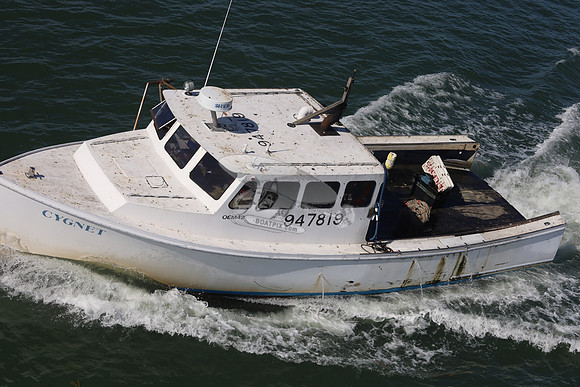 947819.CYGNET.GREEN HARBOR MA.05