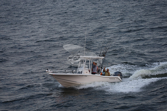 al0477vb.12