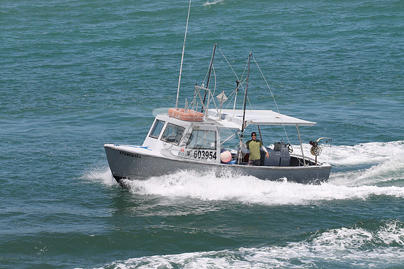 603954.Stonewell.1