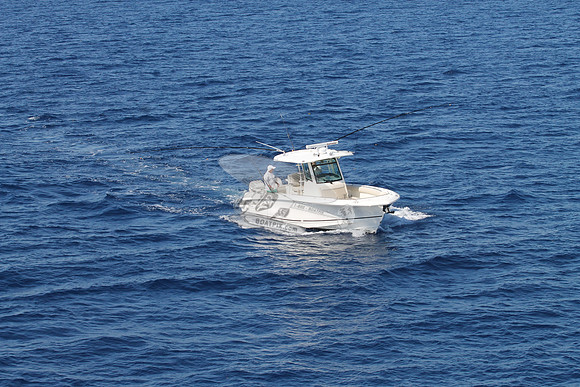 boston whaler.330 outrage.2 mercury.08