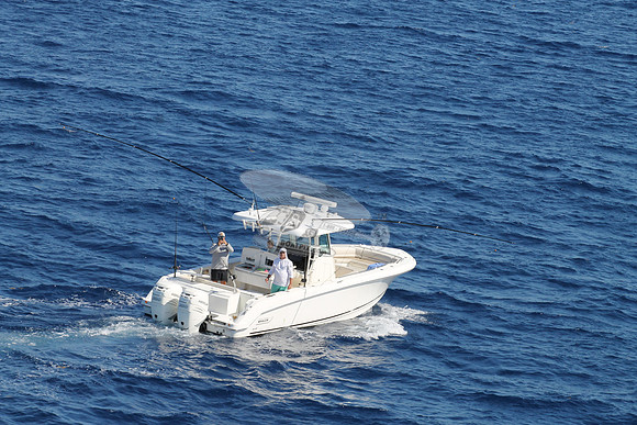 boston whaler.330 outrage.2 mercury.01