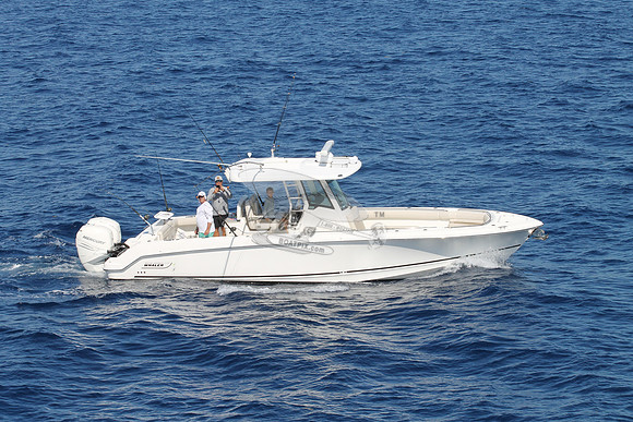 boston whaler.330 outrage.2 mercury.05