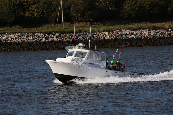 ms8866hy.03