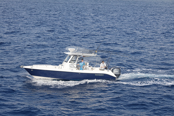 EVERGLADES29.DK BLUE.18