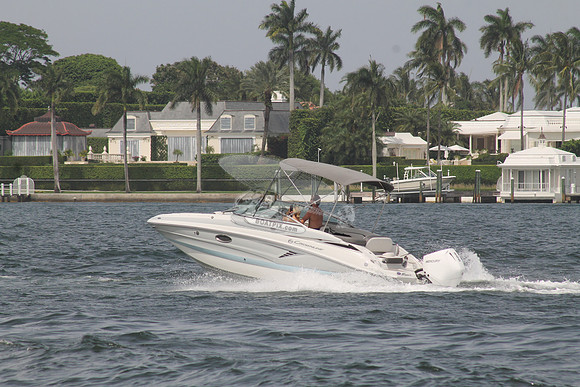 CROWNLINE.GRAY TOP.13