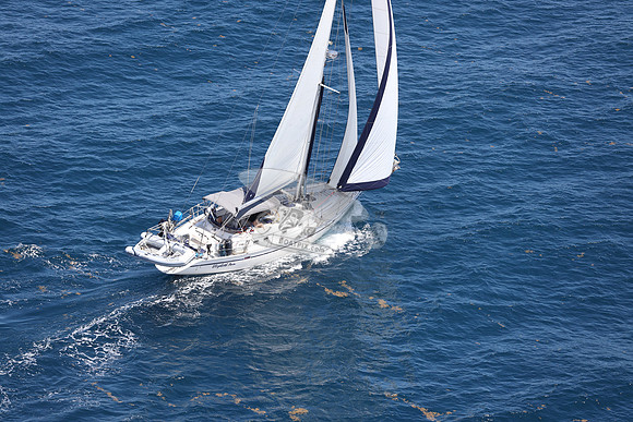 ELIZABETH ANN.ROYAL OAK MI.34