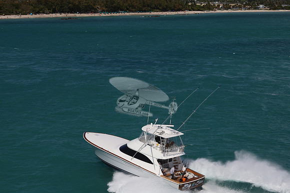 BIG STINK  8986  JPG