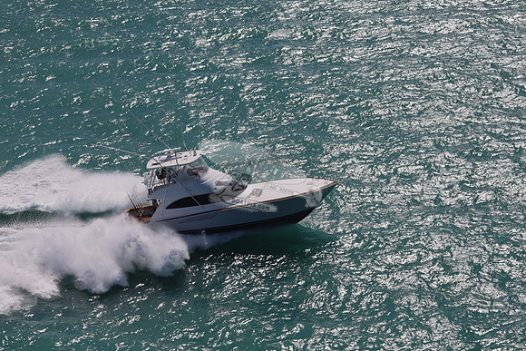 BIG STINK  8969  JPG