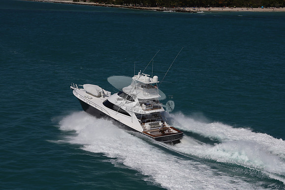 CHECKMATE  NEW YORK NY  8431  JPG