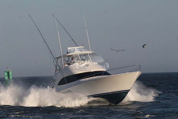 chain reaction.ocean city md.9942