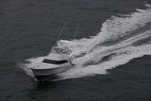 back n down.stuart.35