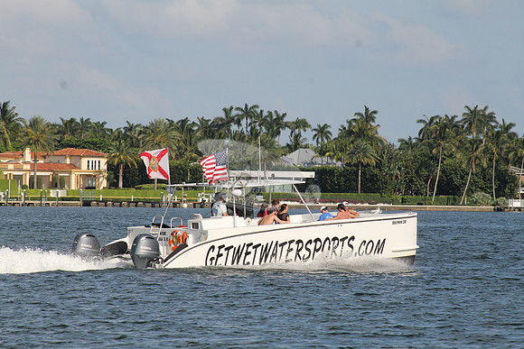DOLPHIN CAT.SINGER ISLAND FL.11