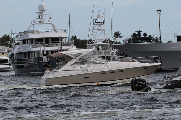 AGAPI.FT.LAUD. FL.REGAL.03