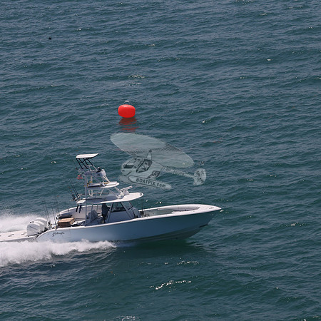 COPA..FL.YELLOWFIN.55
