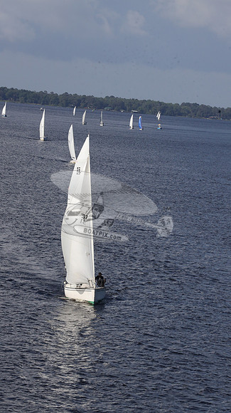 31.13