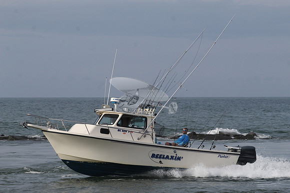 dl1315y.reelaxin'.5891