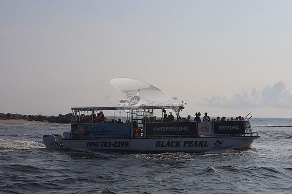 BLACK PEARL.3
