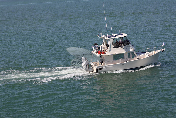 fl0848rp.6037