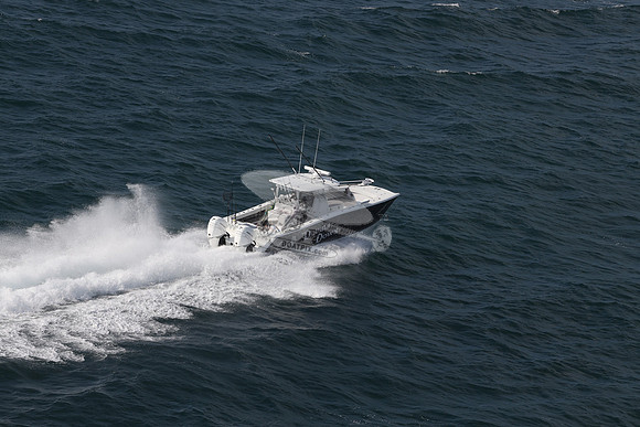 double down.cat.2 merc.16