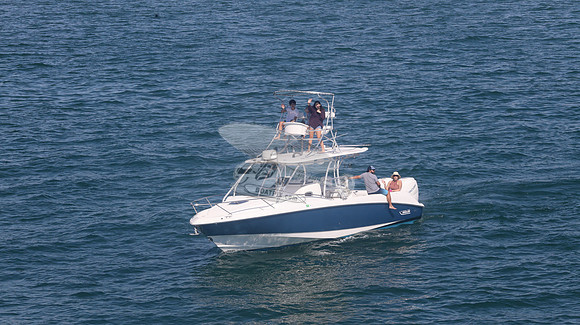 BOSTON WHALER BLUE HULL.2 MERC WHITE.9419