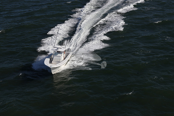 FL0193RD.41