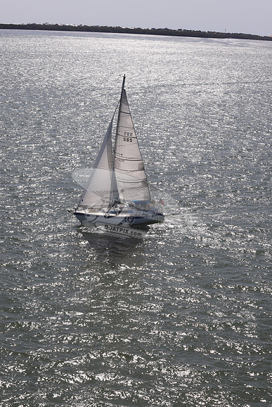 585.MS M..FL9900SM.17