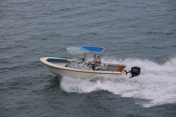 fl1726lv.14