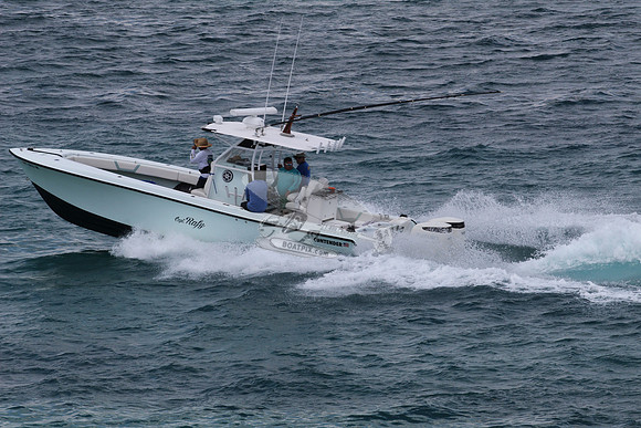 FL0873NE.17