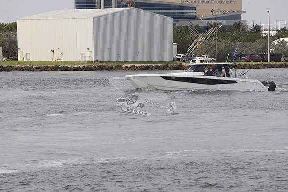 AQUILA.503