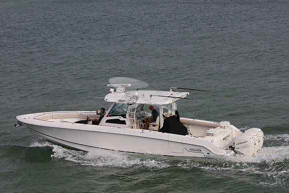 born to run.boston whaler.6