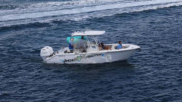 ANCHOR MANAGEMENT.SEA FOX.9393