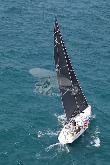 43.PTERODACTYL 3.8806