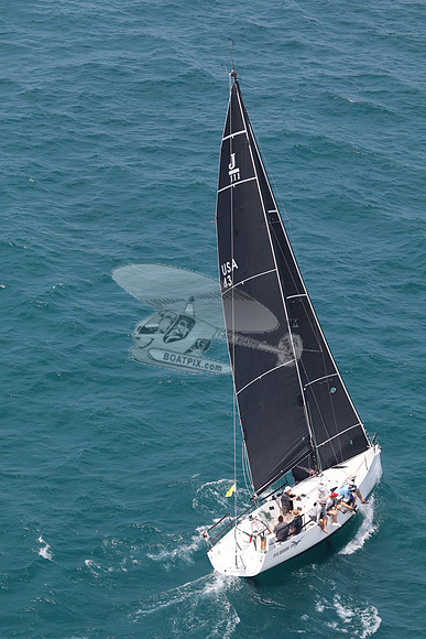 43.PTERODACTYL 3.8808