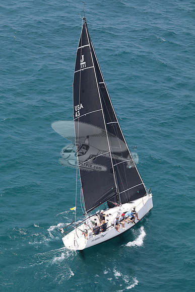 43.PTERODACTYL 3.8809