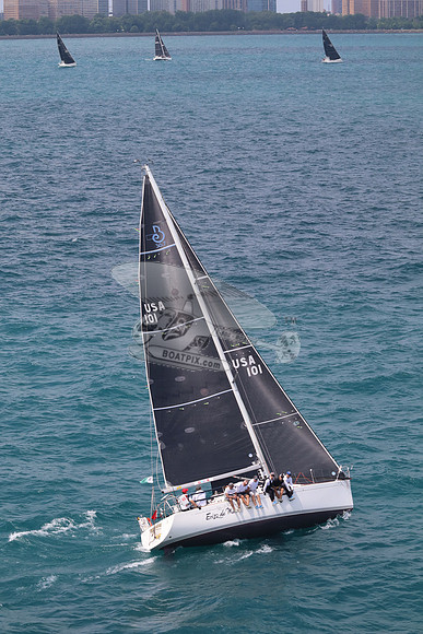 101.ERIZO DE MAR.5833