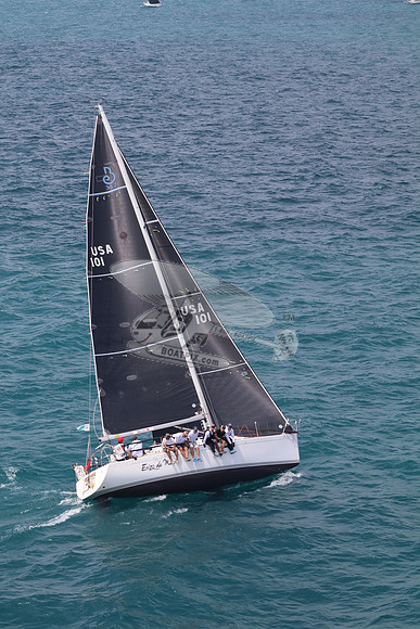 101.ERIZO DE MAR.5834