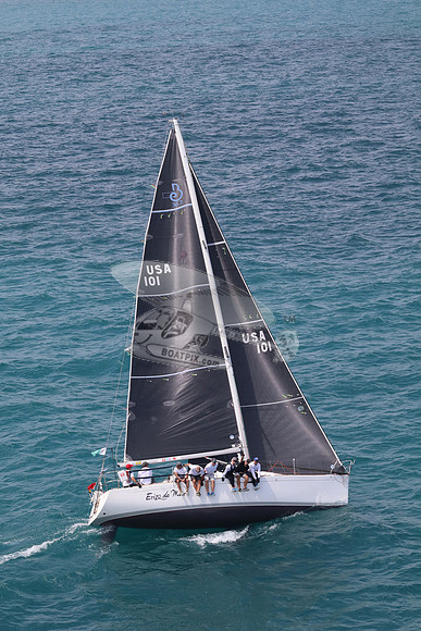 101.ERIZO DE MAR.5837