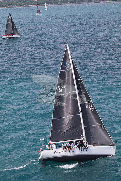 101.ERIZO DE MAR.5838