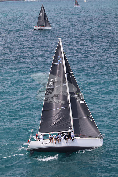 101.ERIZO DE MAR.5839